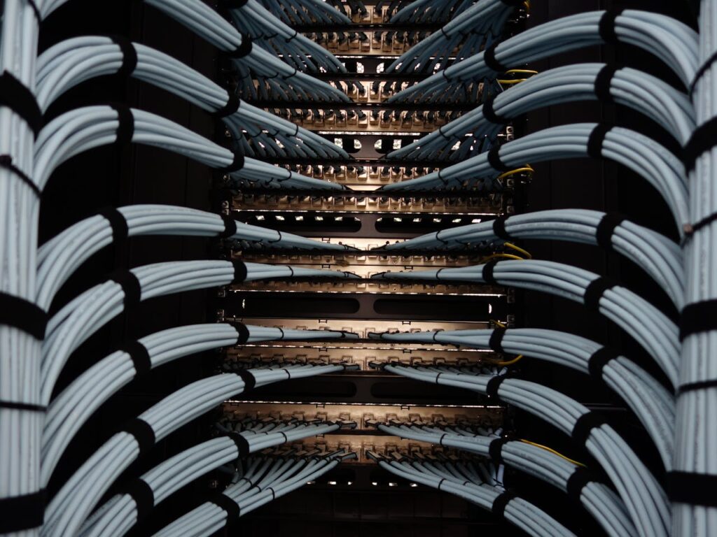 pexels-photo-19166565 Organized network server cables for efficient data management.